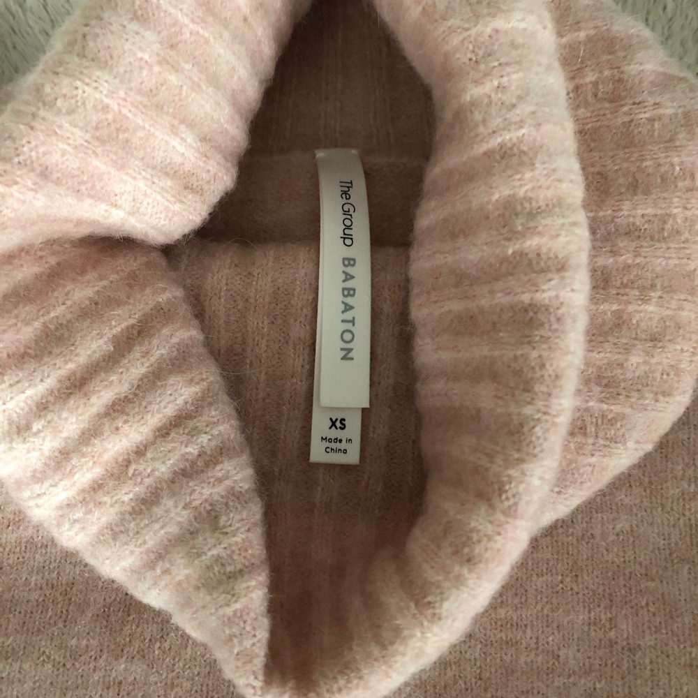 Aritzia Plutarch Turtleneck